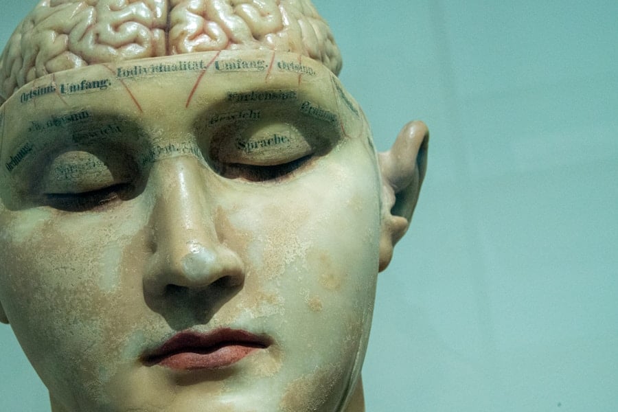 Photo What is the highest IQ ever recorded? And who had it?