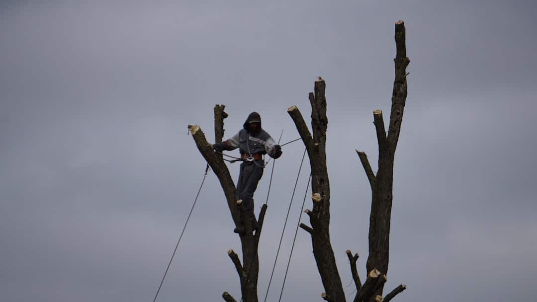 Photo safety at height